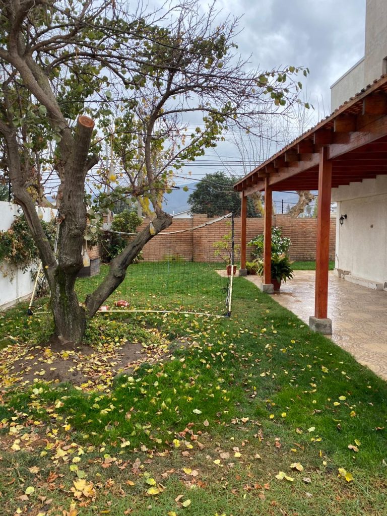 WhatsApp Image 2025-05-14 at 12.03.56 PM